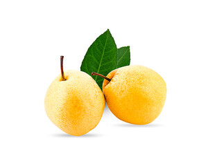 fresh chinese pear isolated on a white background