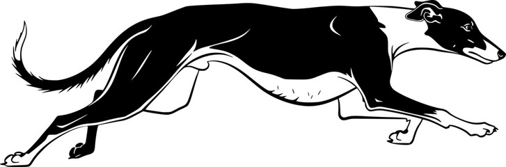 Fototapeta premium Greyhound Svg, Greyhound Dog Silhouette, Greyhound dog Svg, Greyhound Silhouette, Dog Silhouette, Dog Svg, Greyhound Dog Clipart, Greyhound Dog Vectors