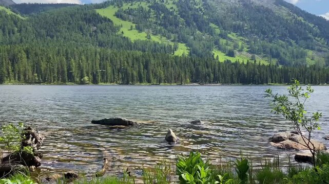 Drone launch over Rakhmanovsky Lake in Katon Karagai State National Nature Park. Beautiful nature of Kazakhstan. A lake with clear blue water and trees in the background.