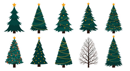 Fototapeta premium Collection of decorated and undecorated pine and fir trees for holiday celebrations and winter scenes