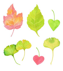 Hand-painted watercolor collection of colorful leaves and hearts.