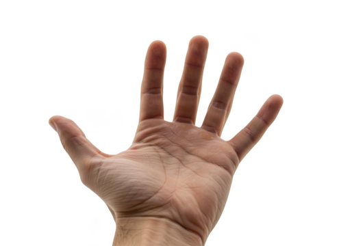 Open human hand showing five fingers isolated on transparent background