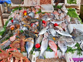 モロッコのエッサウィラ漁港の魚屋の魚介類