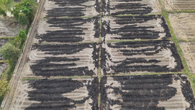 Aerial view of the ash produced from burning rice straw. Ash can add nutrients back into the soil.