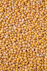 Yellow lentil on the white background
