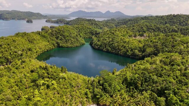 4k drone video of a dark blue jellyfish lake behind the white sand of Karina Beach, surrounded by green tree landscapes, crystal clear blue ocean and coral in the Togean Islands, Sulawesi Indonesia
