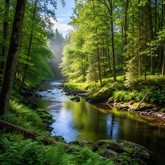 Obraz premium Serene Forest River Landscape.