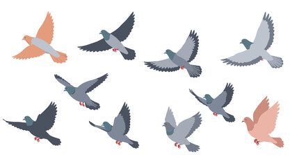Flying pigeons set in flat style with various poses and colors on white background