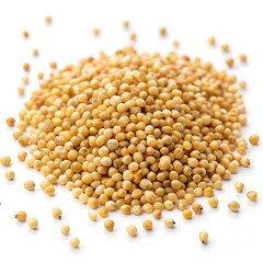 Kodo millet grains isolated on white background, highlighting their small, round shape and nutritious,