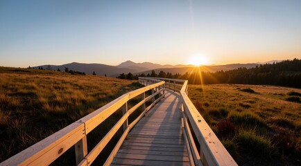 railway bridge in the morning
