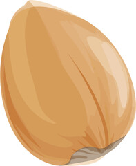 vector illustration of onion