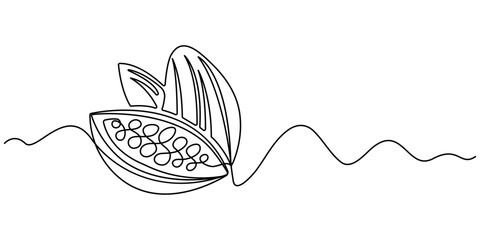 Cocoa beans on a branch, continuous single one line art hand drawing sketch logo, Simple vegetable silhouette. Hand drawn cacao beans branch outline . Fresh cacao concept. Editable stroke