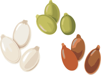 pistachio nuts isolated on white