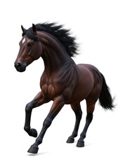 A strong, spirited horse in dynamic motion, against a pure white background, showcases its powerful musculature and flowing mane.