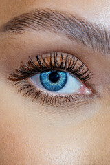 Close up of blue eye macro