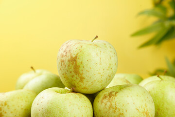 Fresh Green Jinshuai Apples from Shandong China with Shallow Depth of Field Photography