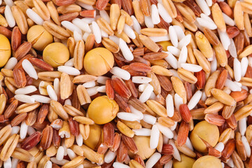 Mixed Grains Rice Soybean Legumes Healthy Food Ingredients Background Texture