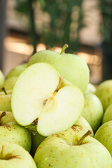 Fresh Green Apples from Shandong China - Organic Fruit Harvest with Cut Apple Showing White Flesh