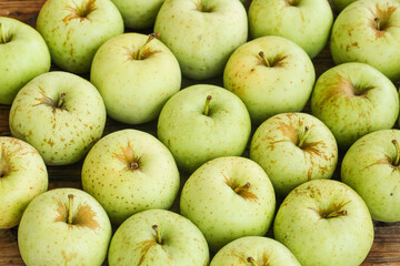 Freshly Picked Green Apples from Shandong China on Rustic Wood Background