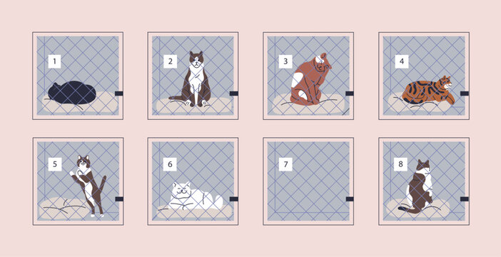 Cat in cage boxes at feline animal shelter. Staying in adoption and rescue center, clinic, cattery with abandoned and lost kittens, kitties, missing pets behind bars. Flat vector illustration - Powered by Adobe