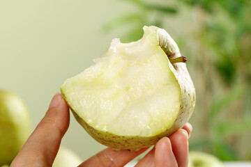 Fresh Jinshuai Apple Slice from Shandong China - Sweet and Sour Green Apple Variety