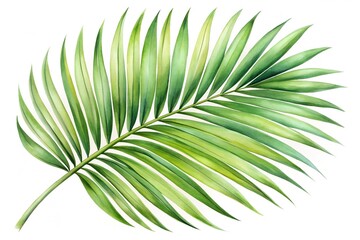 Obraz premium Watercolor painting of a vibrant green palm leaf isolated on white background