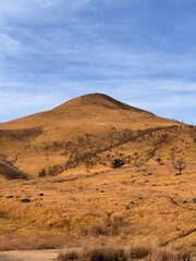 Fukuoka in a Day: Sea, Alleys, and Temple Memories