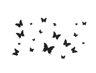Mini butterflies background  wing border.