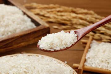Premium White Rice Grains on Wooden Spoon with Traditional Rice Varieties Display