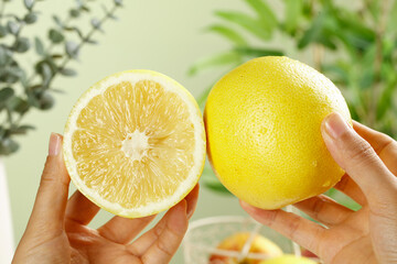 Fresh South African Golden Grapefruit Halves in Hands - Imported Sweetheart Citrus Fruit