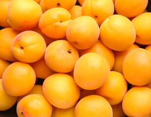 Fresh apricots close-up