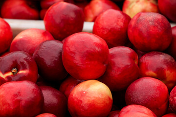 Fresh Red and Yellow Nectarines with Heart-Shaped Skin Pattern at Fruit Market