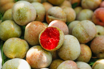 Fresh Ripe Plums with Red Flesh Cut Open Showing Interior at Farmers Market Display
