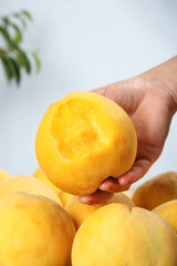 Fresh Golden Yellow Peach from Shanghai Fengxian - Hand Holding Juicy Fruit