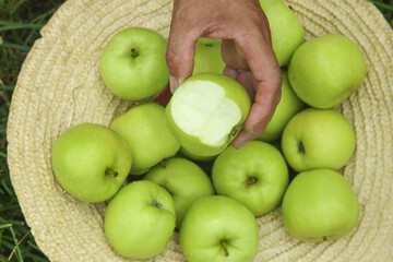 Fresh Green Apples Being Picked from Wicker Basket - Healthy Organic Fruit from Shanxi