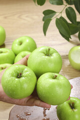 Fresh Green Apples from Shaanxi Mountains - Organic Fruit Harvest in Hands