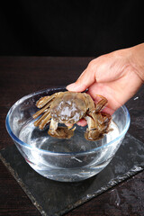 Fresh Yangcheng Lake Hairy Crab in Hand Over Glass Bowl - Premium Chinese Mitten Crab Seafood Display