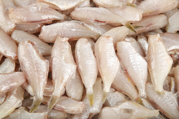 Fresh Skinned Ratfish Fillets Raw Fish Ingredients for Cooking