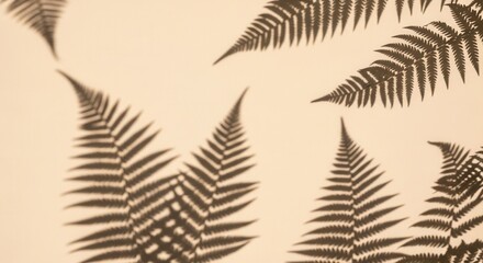Dark shadows of fern fronds are cast across a smooth warm beige background