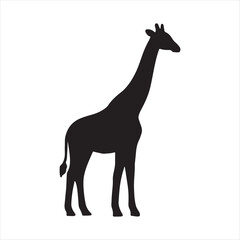 Giraffe Silhouette Vector Illustration