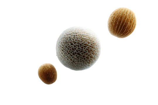 Three Spherical Objects With Glittering Texture Against Black Background