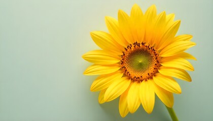 Obraz premium Vibrant yellow sunflower in bloom, radiating summer joy and natural beauty against a soft, serene background