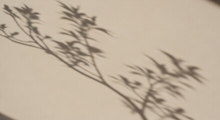 Obraz premium Shadows of delicate plant branches and leaves cast diagonally across a light-colored wall forming a natural ethereal pattern