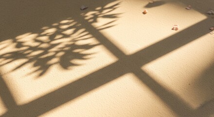 Warm sunlight casts sharp shadows of a window frame and leafy foliage onto a textured sandy surface with scattered small pebbles
