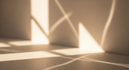 Warm sunlight casts geometric shadows across a plain wall and floor creating abstract patterns in an indoor setting