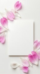 Pink Petals & Blank Canvas