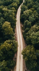 Path Through the Forest Aerial View of Winding Dirt Road Amidst Lush Greenery