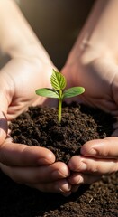 Hands gently cradling a tender seedling emerging from the fertile soil, ready to grow.