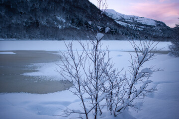 pink sunset in the winter