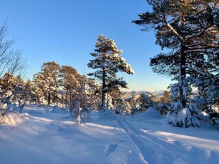 hiking on winter trail